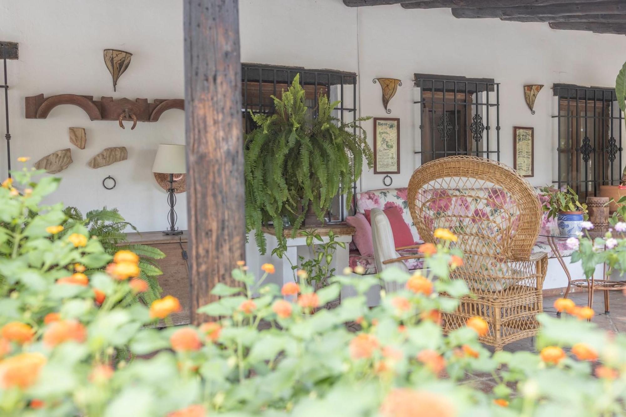 La Cuadra, Finca A Los Pies De Sierra Nevada, A 10 Minutos Del Centro, Piscina, Jardin, Barbacoa La Zubia  Bagian luar foto