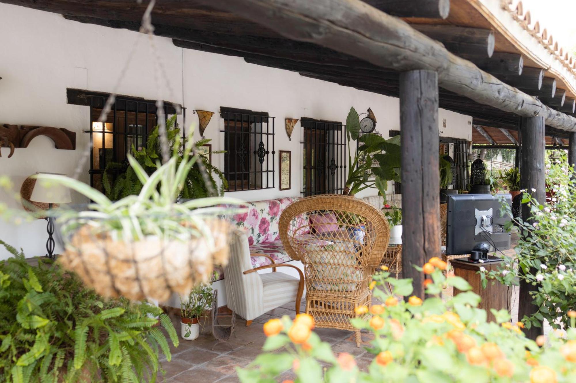 La Cuadra, Finca A Los Pies De Sierra Nevada, A 10 Minutos Del Centro, Piscina, Jardin, Barbacoa La Zubia  Bagian luar foto