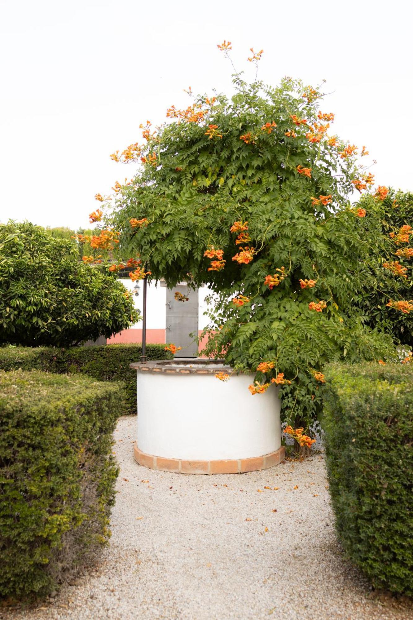 La Cuadra, Finca A Los Pies De Sierra Nevada, A 10 Minutos Del Centro, Piscina, Jardin, Barbacoa La Zubia  Bagian luar foto